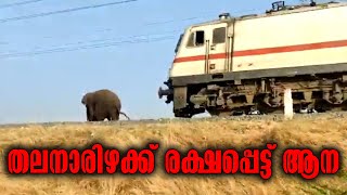 Coimbatore News Video | തലനാരിഴക്ക് രക്ഷപ്പെട്ട്‌ ആന | Latest Viral Video | Tamil Nadu Viral Video