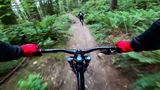 Gearjammer, Uppercut \u0026 Lower Snake - Burnaby Mountain BC trails