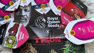 Royal Queen Seeds🦁 Review 💯 my honest opinion. Is royal queen seeds a good purchase ? 🤔