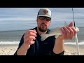 **read the beach** cast here to catch more fish while surf fishing