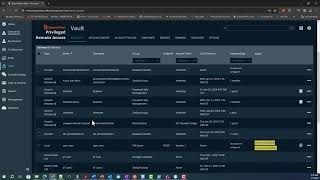 Multiple Sessions Privilege Remote Access