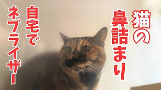 自宅でネブライザー猫の鼻詰まり治療の記録〜我が家は人も猫も〜