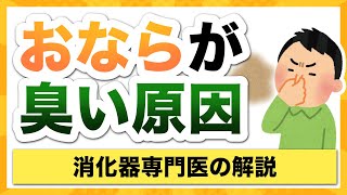 おならが臭い原因　大腸カメラで直接腸の中を見ている内視鏡専門医が解説