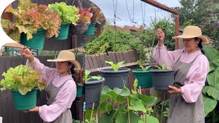 Easy hanging plastic pots 🌱 ทำกระถางห้อยสำหรับปลูกผักง่ายๆค่ะ🌱❤️