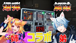 【新人Vtuber】罰ゲームあり?!初めての姉弟コラボで爆弾解除していく!!【爆弾解除シミュレーション】