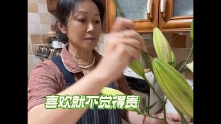 60多岁还在工作还在赚钱，单纯是因为缺钱吗？大咪又惹祸了 #猫咪 #分享日常生活