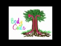 The Body Code - Dr Bradley Nelson