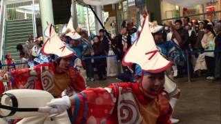 よさこいの踊り子たち（Ⅱ）＠2012　ワカバウォークよさこい