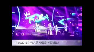 160618 T-ARA at Korea-China Culture Concert (10MIN FANCAM)