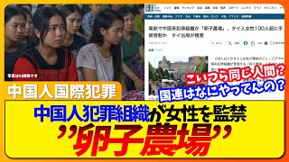 中国人組織が東欧で数百人規模の「卵子農場」を運営か、毎月 卵子を採取される手術を強制【人間の家畜化】【ネットの反応】