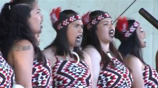 NGĀTI HOKOPŪ KI TE WHARE O TOROA - Te Toki 2017