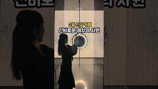 역대급 몽환적 분위기의 강남 신상카페