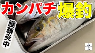 腱鞘炎の中ジギングをしたら青物が爆釣しました！嬉しいけど痛い・・・笑【船釣り/ジギング/マイボート/プレジャーボート/YFR27】