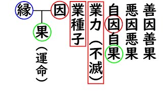 超仏教入門08因果の道理1