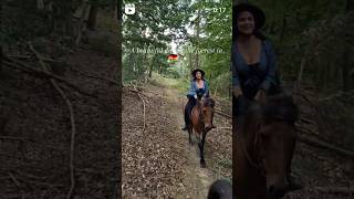 A beautiful hack with Wanderreitstation Butzbach-Wiesenthal in the forests of Germany 🐎🇩🇪