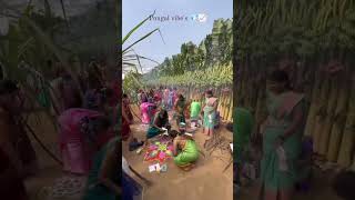 💥💢SRM Pongal Celebration 2K24🔥✨#srm#pongal#2k24#ytube#shorts#subscribe#buddistories