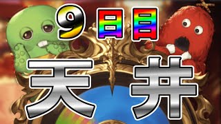 【グラブル】幻のグラフェス天井するぞするぞするぞ！！！残り240連