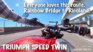 【TRIUMPH  SPEED TWIN】Shop with Good Exhaust Sound【委員長のバイク】モトブログ Triumph 良音