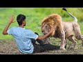 Lion Attack Man in Forest | Lion Attack Video | Lion Attack Best Stories