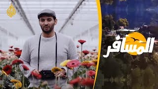 المسافر - أجمل ما في هولندا