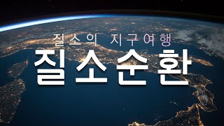 지구상의 모든 생명의 순환! '질소순환'에 대해 알아봅시다!