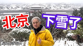 北京下大雪了從景山公園往下看著下雪的紫禁城實在太美了