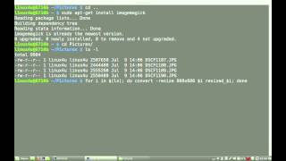 Image batch processing with the command-line