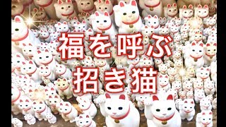 開運招き猫がいっぱ〜いなパワースポット♪