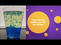 DIY Lava Lamp | Polarity and Solubility