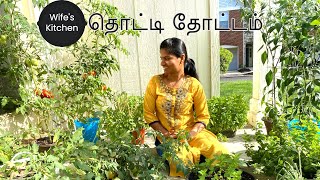 அமெரிக்காவில் என் பால்கனி தோட்டம் 2020 | Balcony POT Garden Vlog in Tamil