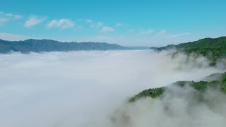 雲海立ち込める秋の絶景　陝西省太白県