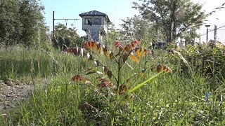 Les Natures de la Petite Ceinture : Bercy - Charonne