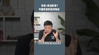 中国农民在经济和社会保障上，更不算是个人