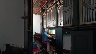 Orgelmusik an der Grüneberg-Orgel in Wollin (Wolin, Polen) - kurzer Ausschnitt