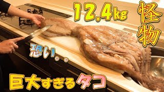 【大食い】12.4㎏の怪物サイズのタコを食す～デカい。怖い。美味しい。～