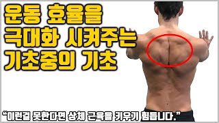 헬스장 처음가는 헬린이의 운동 효율을 극대화 시켜주는 기초중의 기초