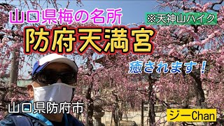 【低山登山】山口県、防府天満宮の梅園と天神山。癒されてきました。ジーChanの活動日記