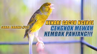 Download Lagu SUARA BURUNG 112 Kenari GACOR PANJANG INI Cocok un... MP3 Gratis