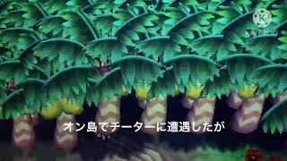 オン島で何もしていない俺が、チーターに監禁されたんだけど…   #ソパカ晒しあり　#拡散　#オン島　#チーター