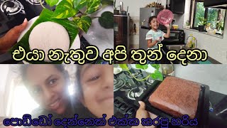 බබාලා දෙන්නත් එක්ක ගෙවුණු තවත් උදේ වරුවක් /beautiful morning volg with two kids