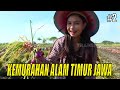 JEJAK PETUALANG | KEMURAHAN ALAM TIMUR JAWA (02/11/21) Part 2