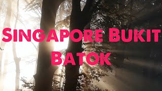 SINGAPORE BUKIT BATOK NATURE PARK