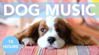 Music for Dogs! Soothing Songs for Dog Anxiety, Depression and Hyperactivity!