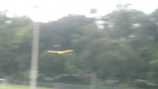 Yellow bee rc airplane