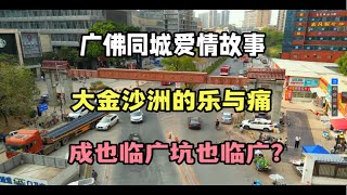 佛山楼市：临广宜居的金沙洲板块却让人又爱又恨，房价长期低迷，为什么？