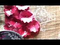 Beautiful handmade card at home || Ishika's Universe