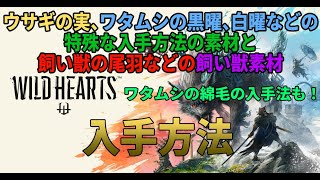 [WILD HEARTS]ウサギの実やワタムシの黒曜、白曜などの特殊な入手方法の素材と飼い獣の尾羽などの飼い獣素材の入手方法の解説[#ワイルドハーツ/攻略]