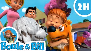 😍🧑 2h d'amusement avec Boule et Bill 🐶🤩 - Nouvelle compilation Boule et Bill FR