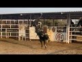 🐂TARDE DE CALAS🐂 Rancho La CANDELARIA de FEDERICO FIGUEROA 2022