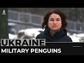 Scientists turned fighters: Ukrainian polar experts form battalion